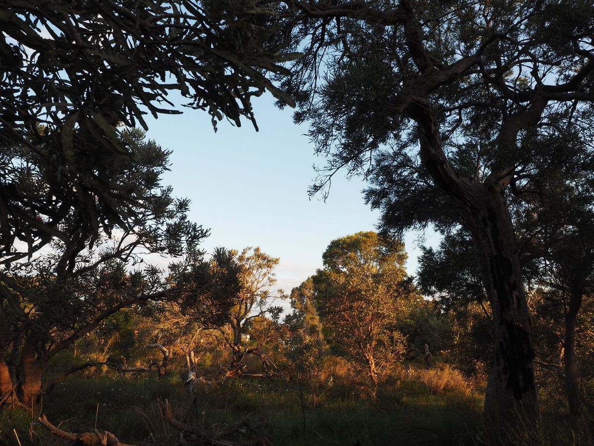 "Behind the Fences" Guest Speaker Series - #4 Fungi and Slime Moulds