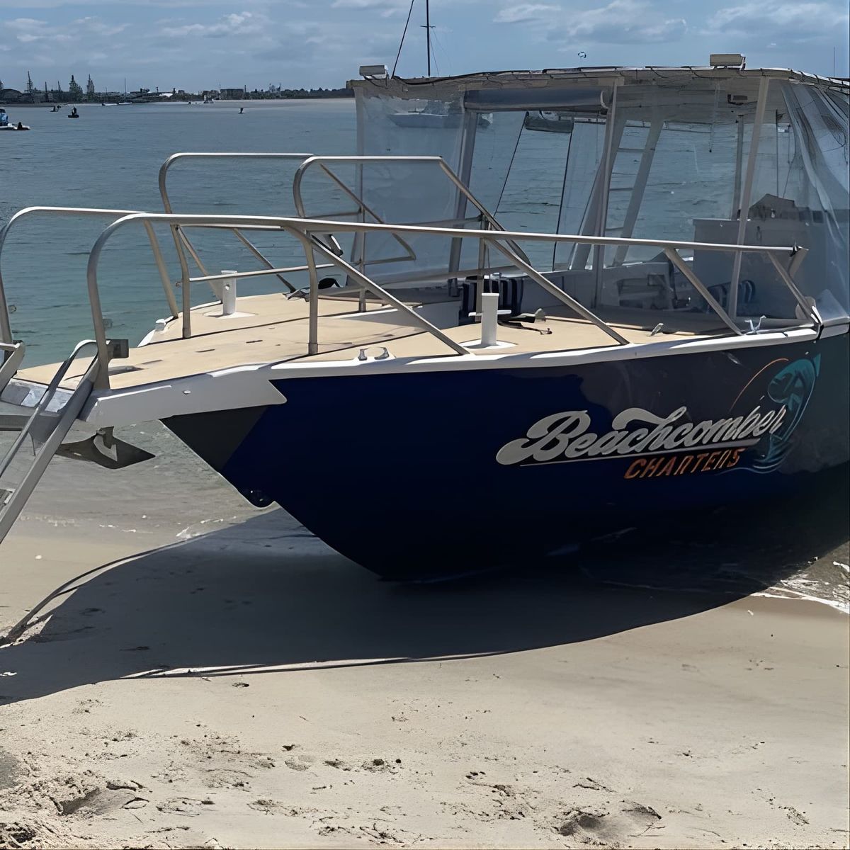 Surfers Paradise to Wavebreak Island Pelican Cruise + Picnic