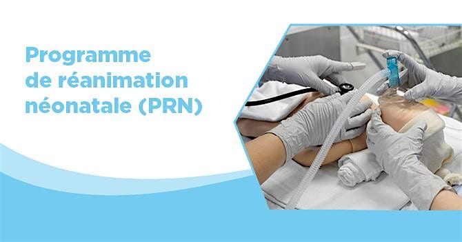 Programme de r\u00e9animation n\u00e9onatale (PRN) - 24 OCT. 2025 - RECERTIFICATION