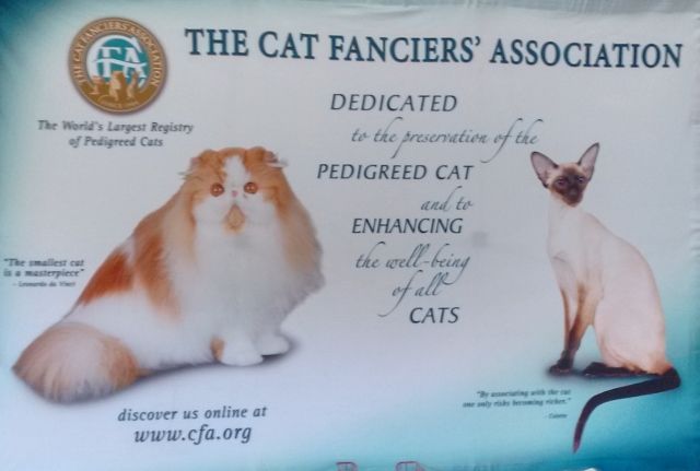 Greater Lancaster Feline Fanciers Cat Show