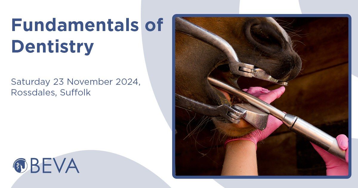 Fundamentals of Dentistry