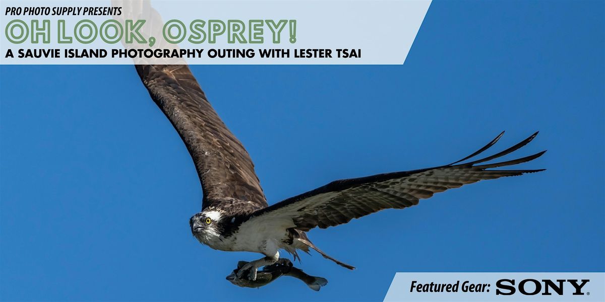 Oh look, Osprey! with Lester Tsai