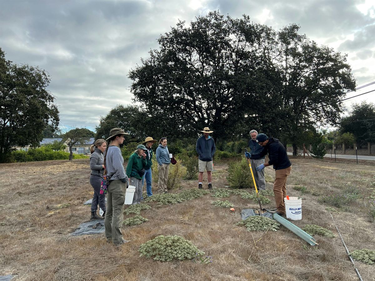 Laguna Stewards  at Earle Baum Center\/ D\u00eda de Laguna Stewards