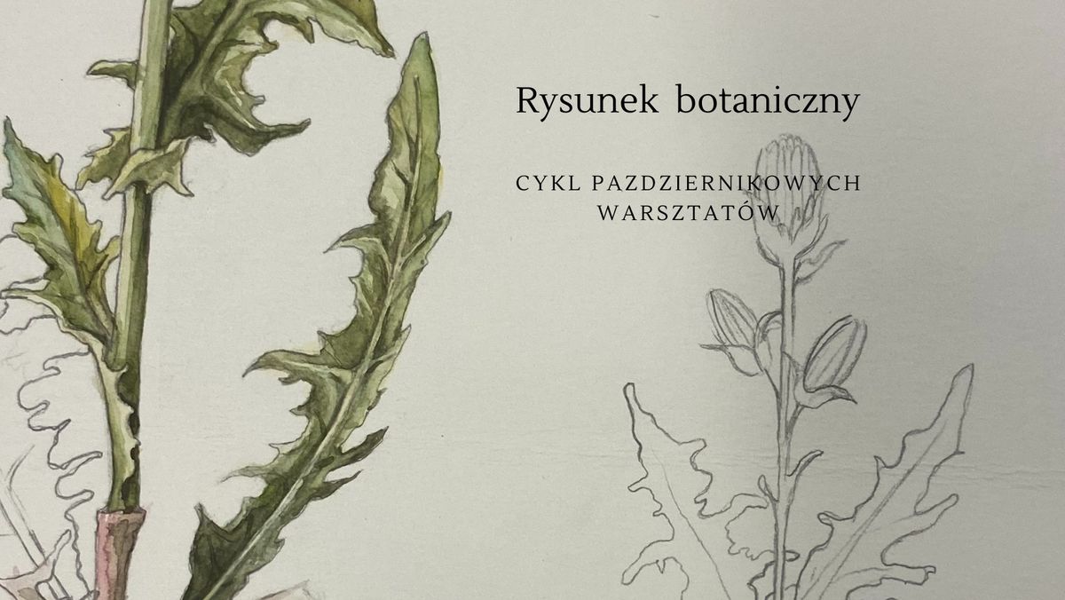 Rysunek botaniczny\/ cykl warsztat\u00f3w dla pocz\u0105tkuj\u0105cych