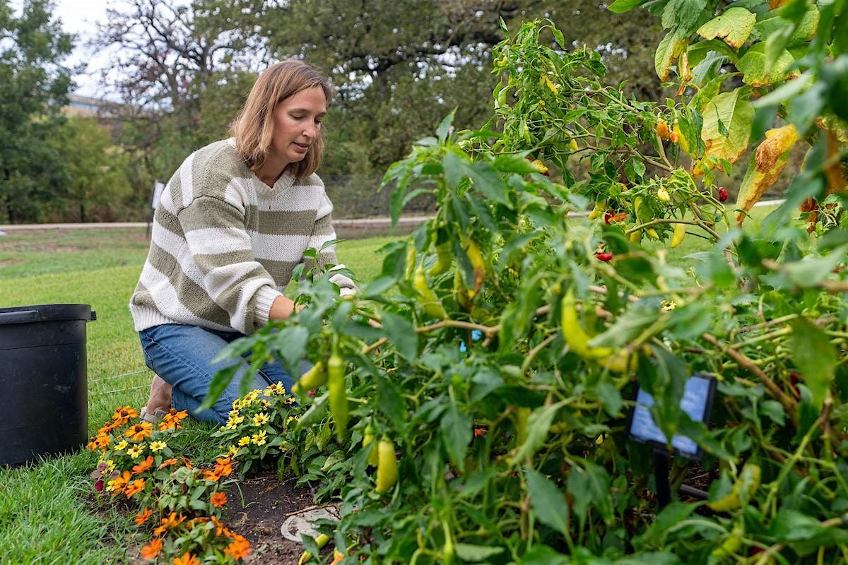 Better Your Days, The Mediterranean Way