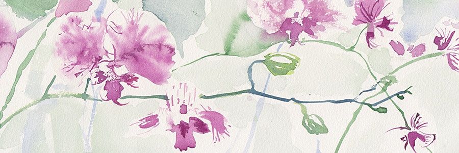 Watercolor Workshop: Orchids