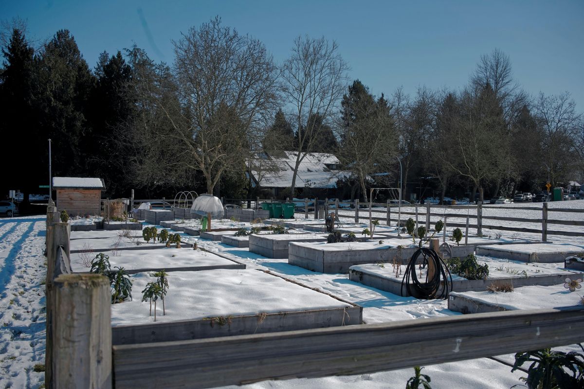 Greentree: Putting your Garden to Bed for Winter