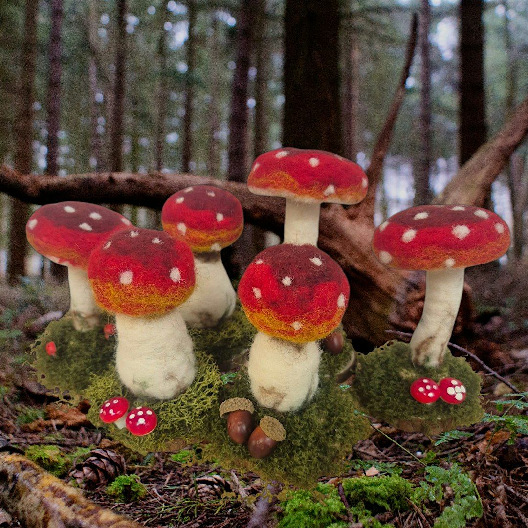 Needle Felted Fungi- Charlotte's Crafty Corner (morning)