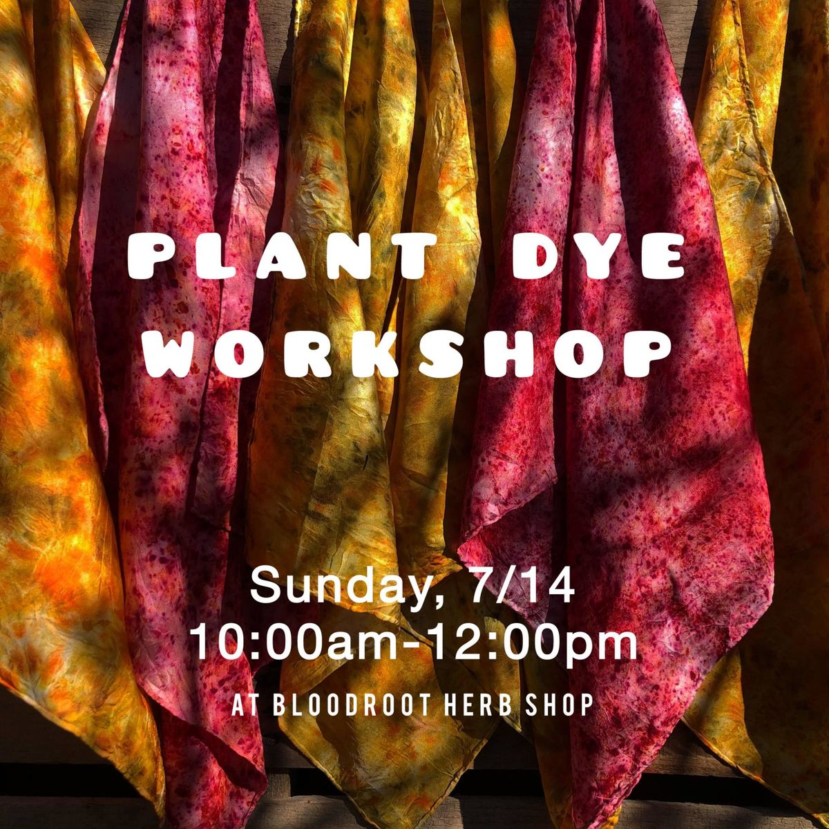 Plant Dye Workshop at Bloodroot