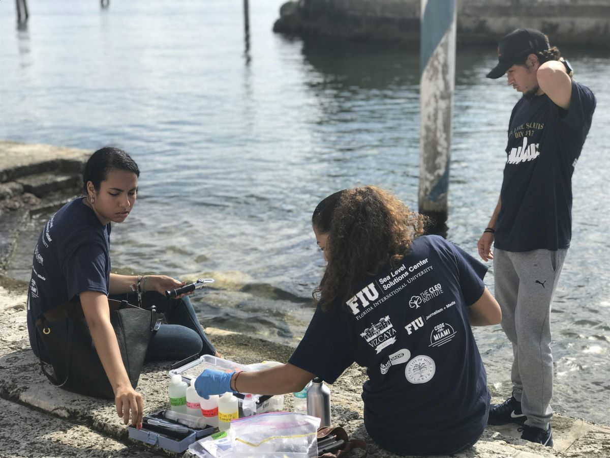 10th Annual Sea Level Solutions Day (October 2025 King Tide)
