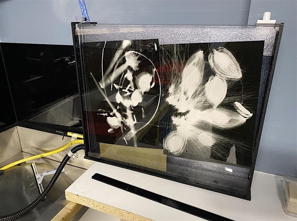 Fine Art Darkroom Printing Masterclass