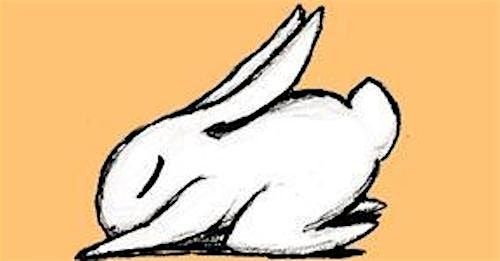 Bunny Yoga with Alamo City House Rabbits