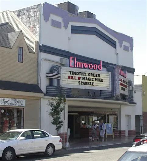 A Walk Through the Elmwood led by Robert Johnson