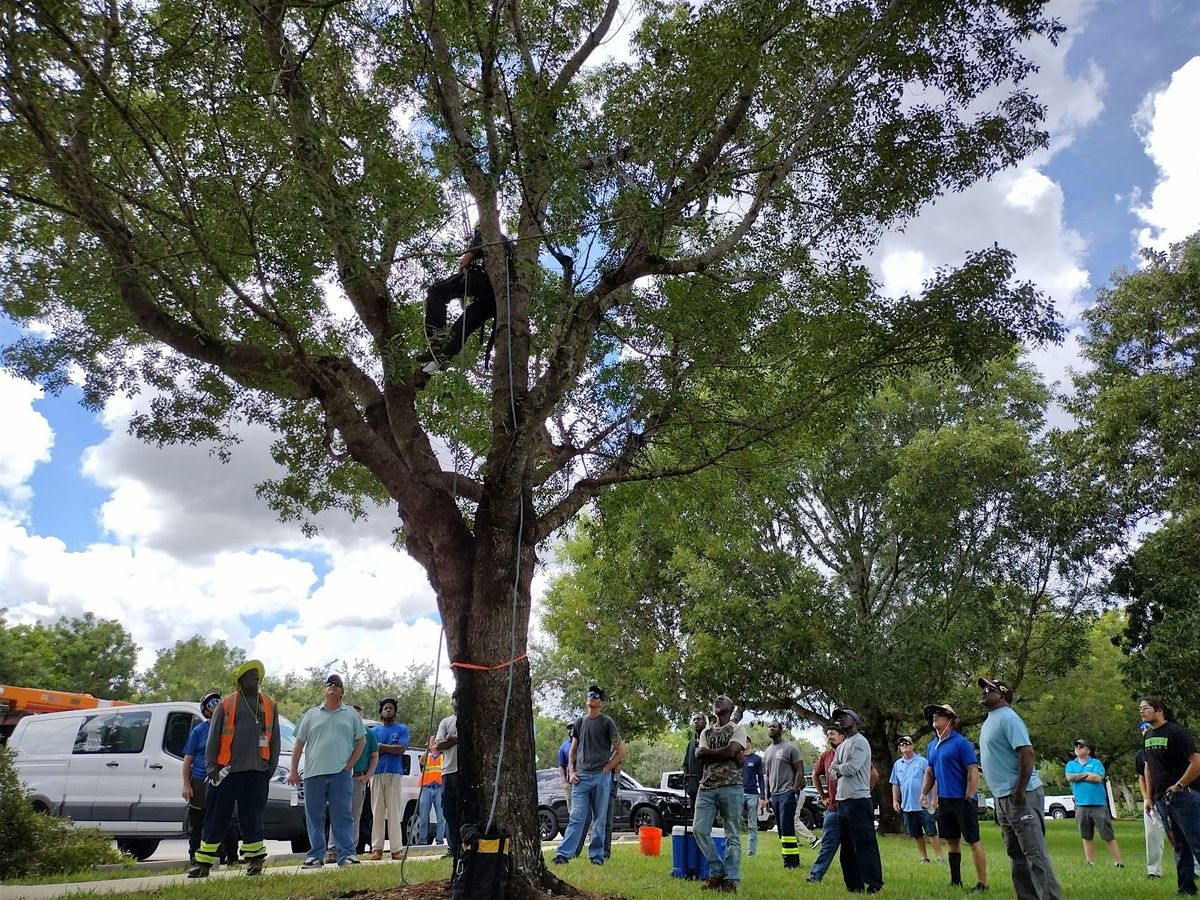 ADVANCED Tree Trimmer Certification - SPANISH