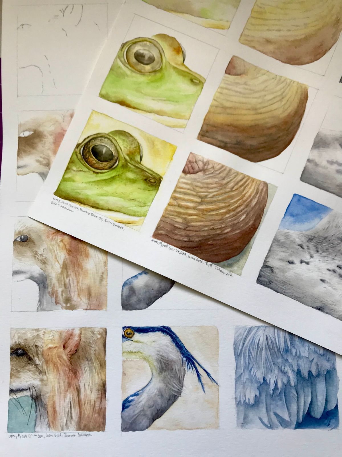 Watercoloring Urban Critters (in-person)