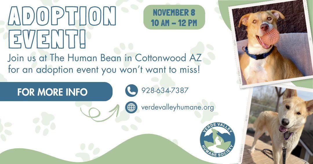 Adoption Event at The Human Bean