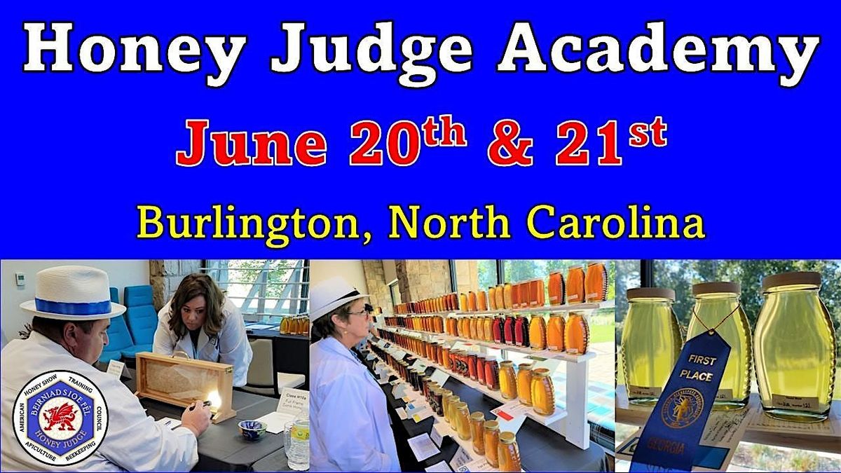 Honey Judge Academy