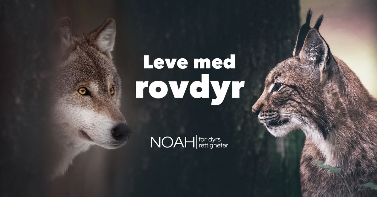 Leve med Rovdyr -  foredrag av Tom Schandy