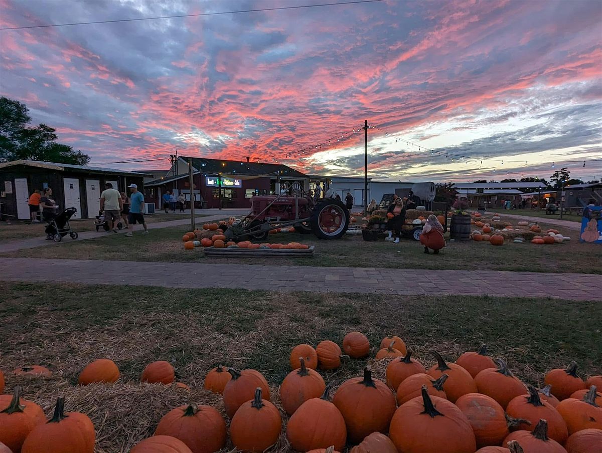 Tampa Bay Meetup @ The Haunted Farm Fall Festival