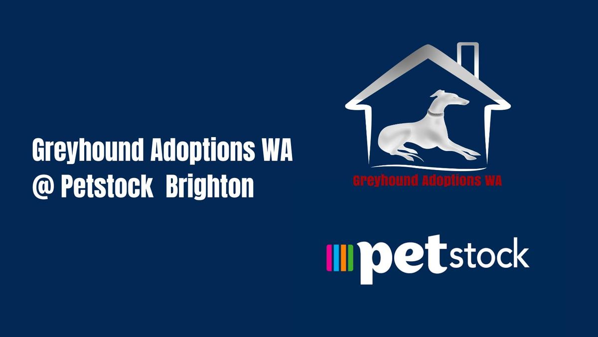 Petstock Brighton Adoption Day 
