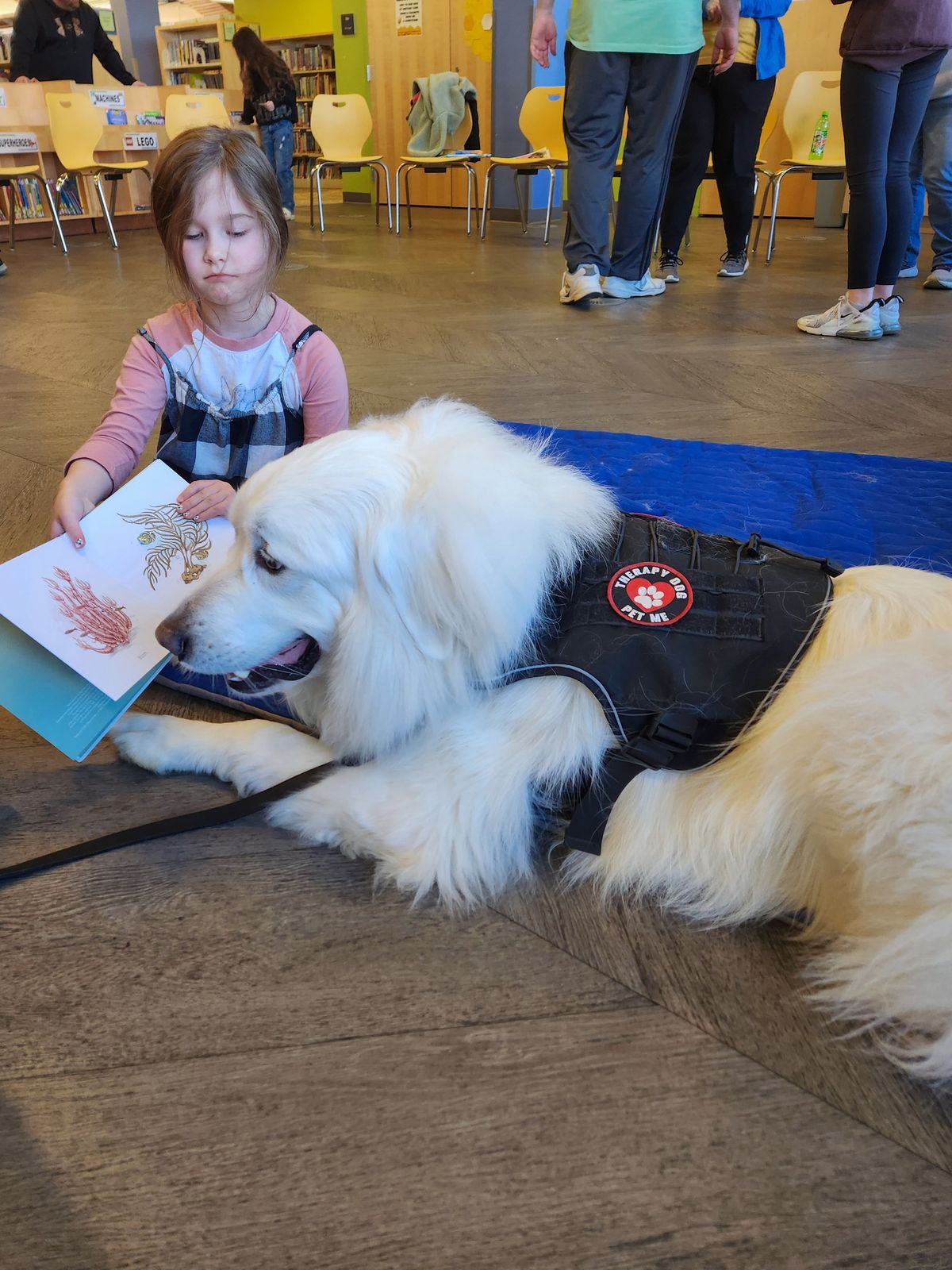 Books with Bo (Therapy Dog Bo) (Grove City)