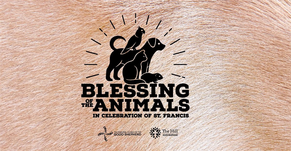 Blessing of the Animals