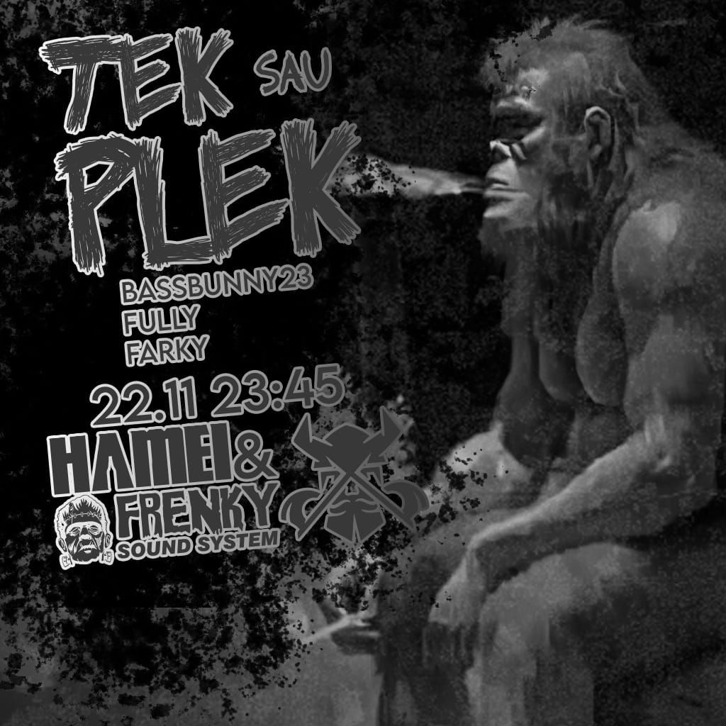 Vikings Tribe23 present: Tek sau Plek #2