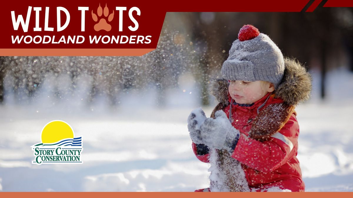 Wild Tots: Woodland Wonders