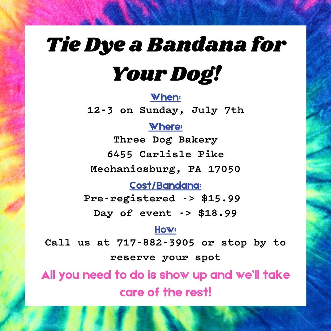 Doggy Bandana Tie Dye Event