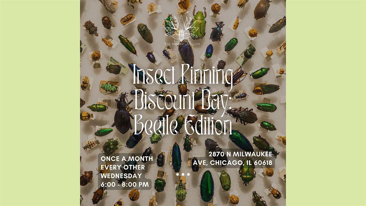 Insect Pinning Discount Day: Beetle Edition
