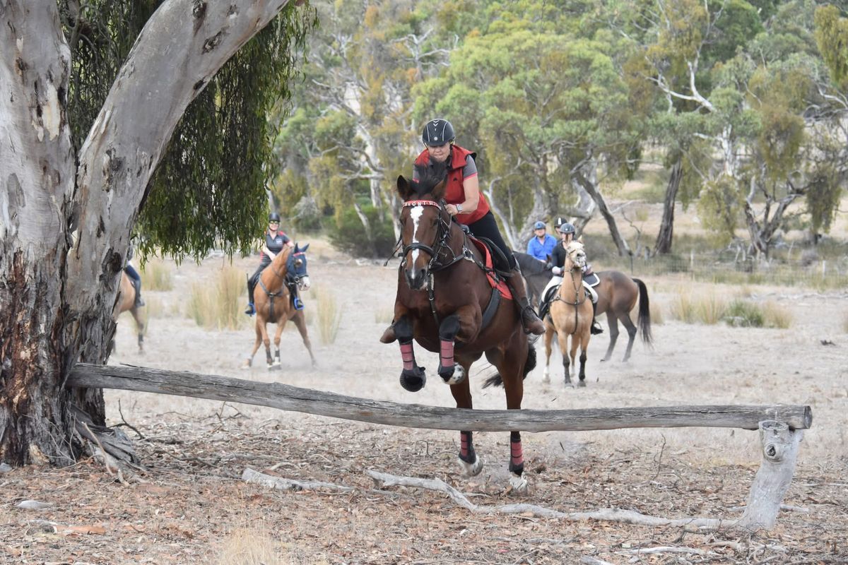 Training day: Wattle Flat Paddock Kenloth Hills 