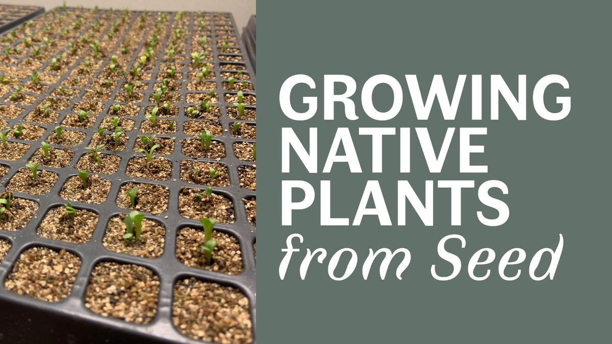 Growing Native Plants from Seed