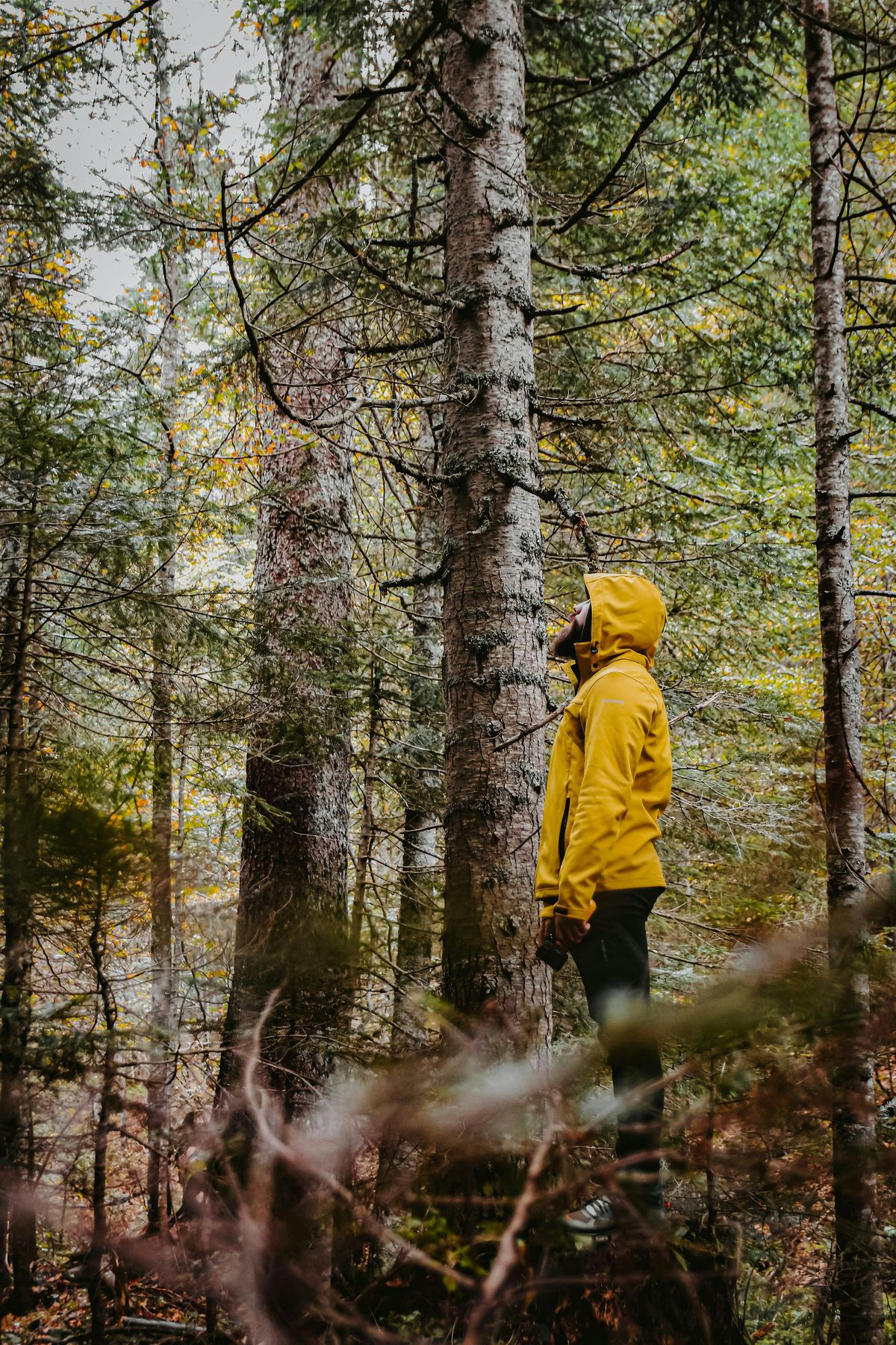 Achtsam arbeiten \u2013 achtsam leben | Ein Natur-Spaziergang f\u00fcr gesunde Arbeit