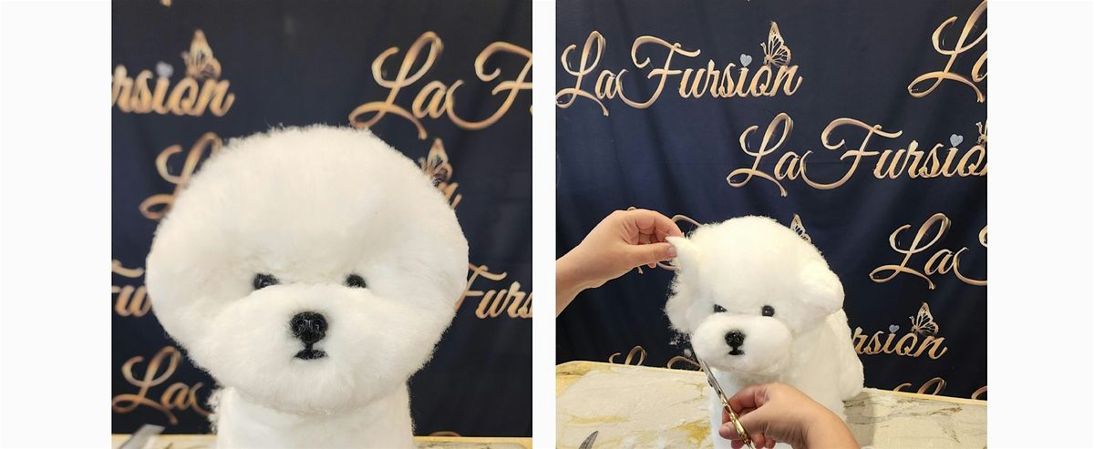 Bichon head VS Asian Fusion TB. Fundraiser to support CA Groomers