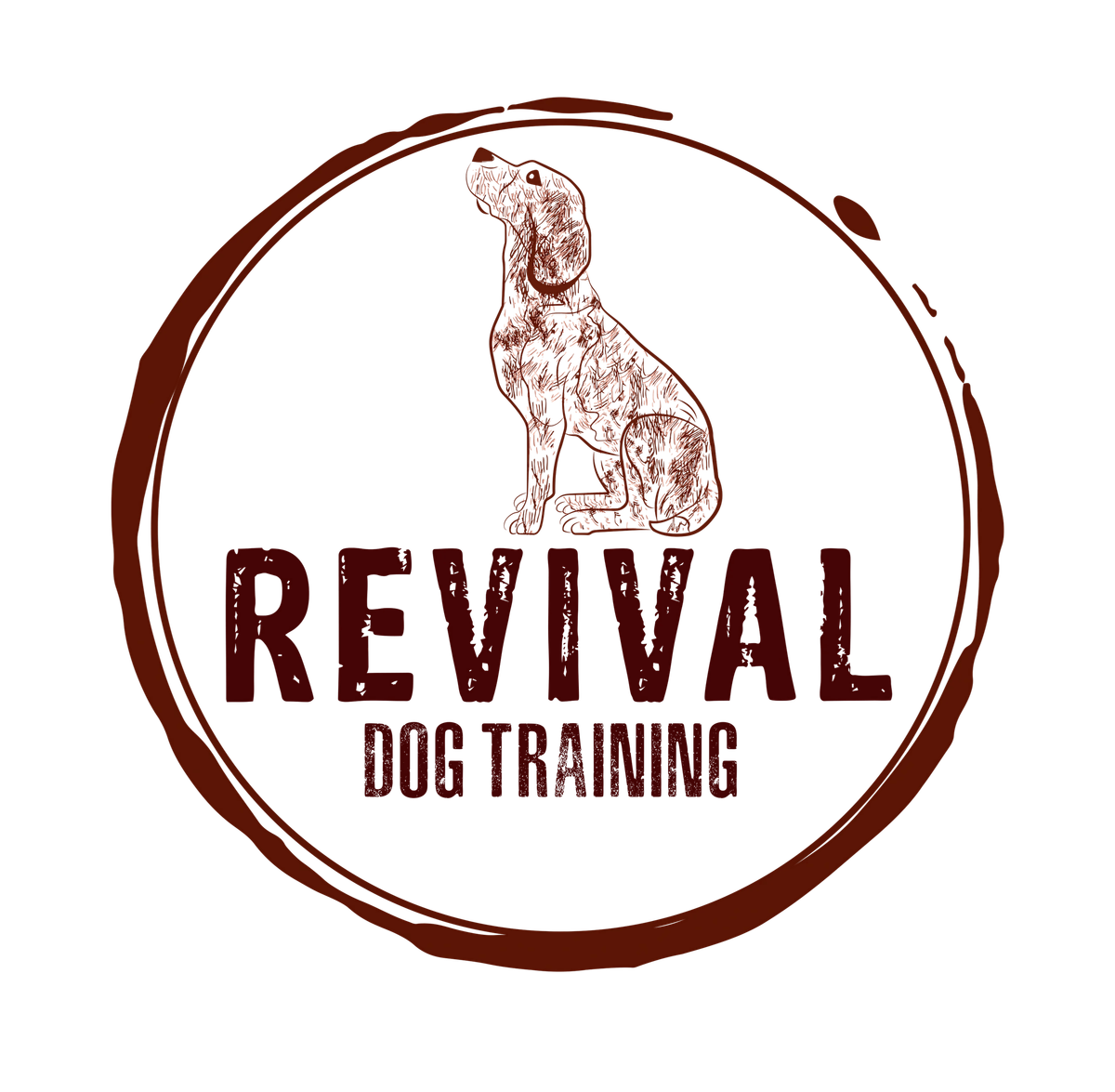 Skills 1.0 Group Class with Revival Dog Training