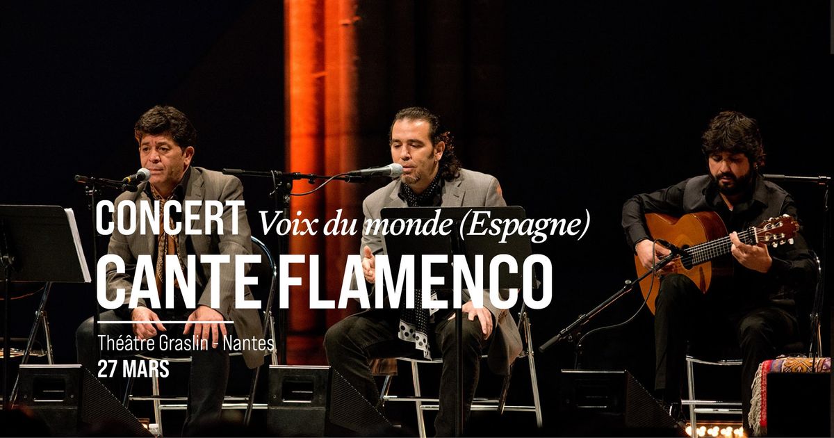 Voix du monde | Cante Flamenco (Espagne)