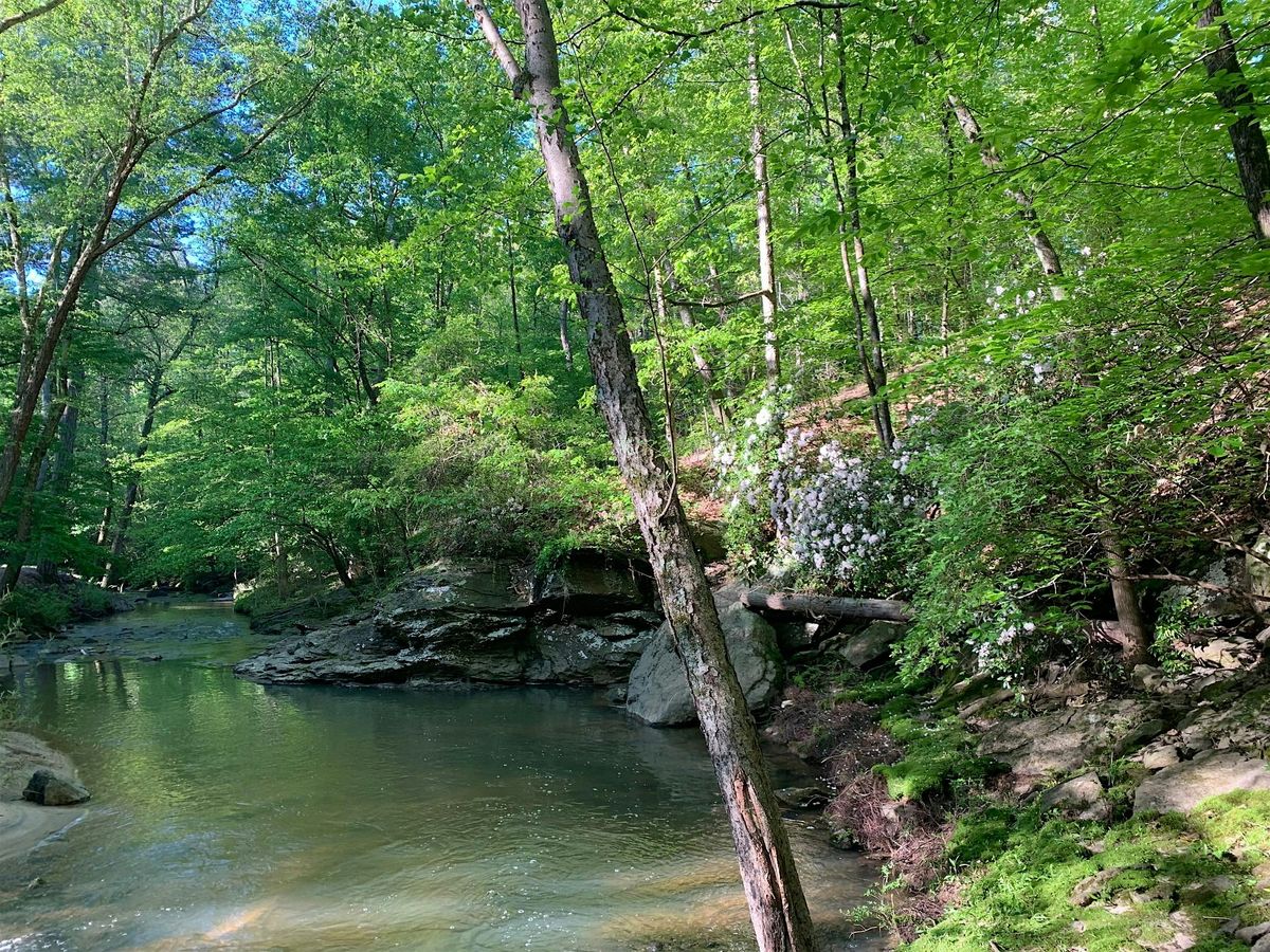 Geology Walk with Bill Witherspoon