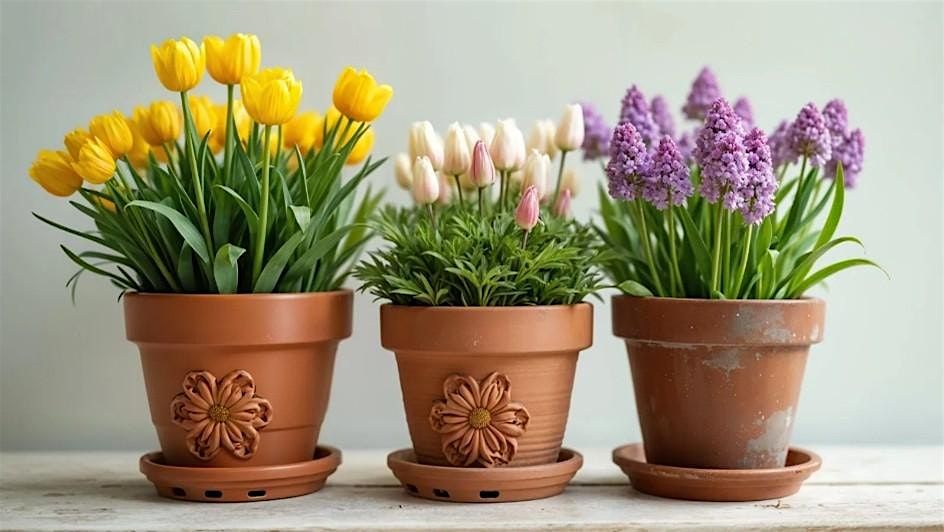 Lasagna Bulb Planting