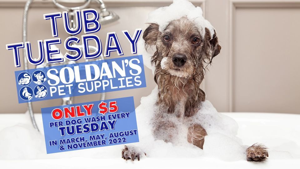 Tub Tuesday W. Lansing, Soldan's Pet Supplies (6201 W Saginaw Hwy, Lansing, MI), 24 May 2022