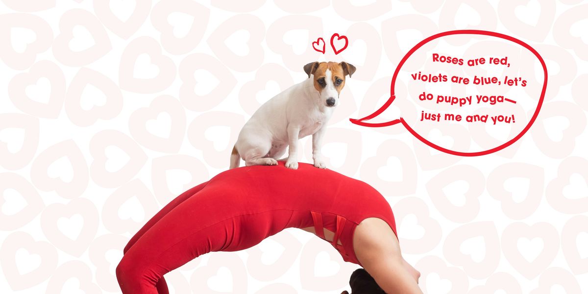 Puppies & Prosecco Yoga