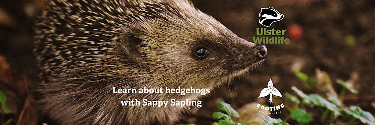 Learn about Hedgehogs with Sappy Sapling