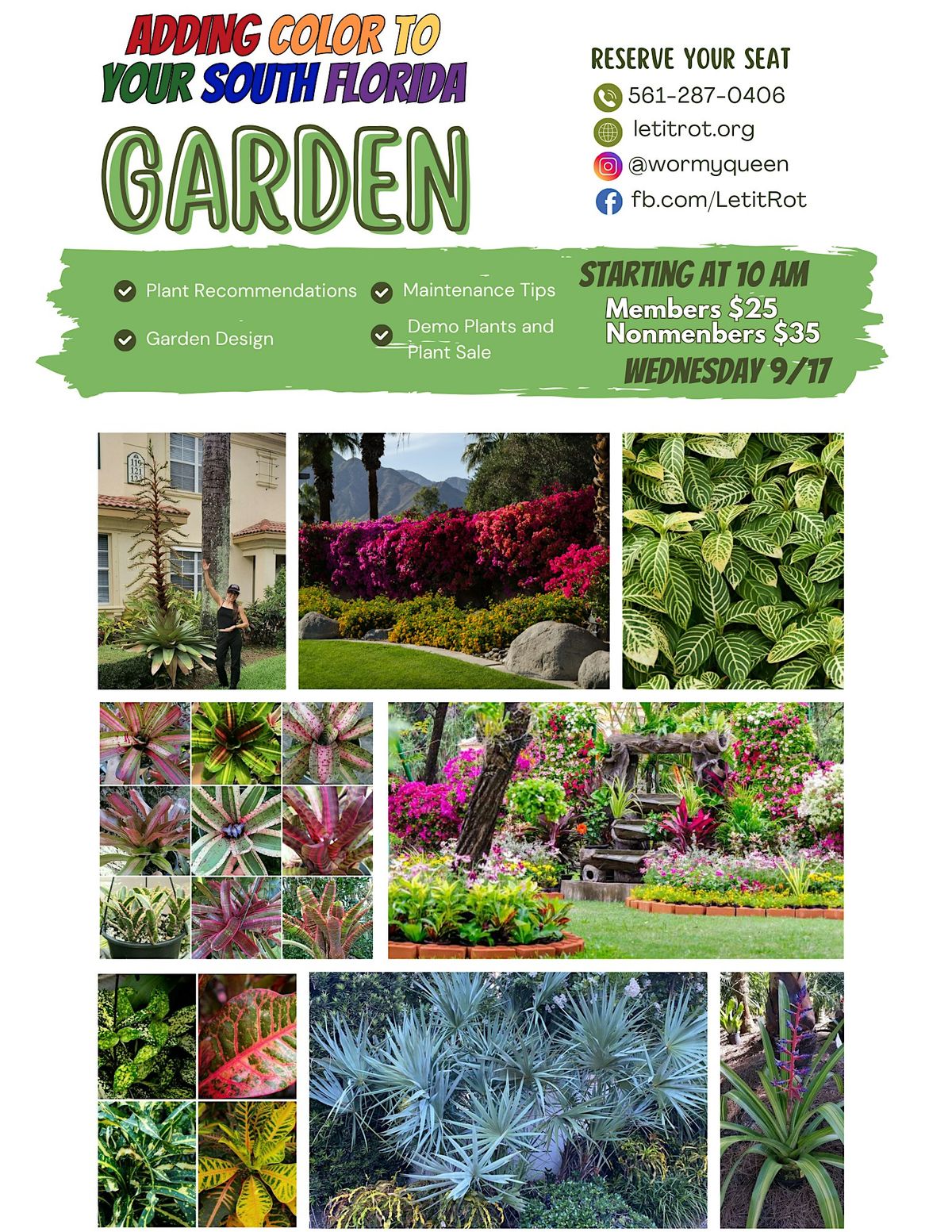Adding Color to your South Florida Garden