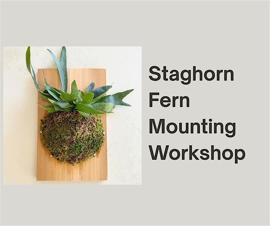 Staghorn Mounting Workshop