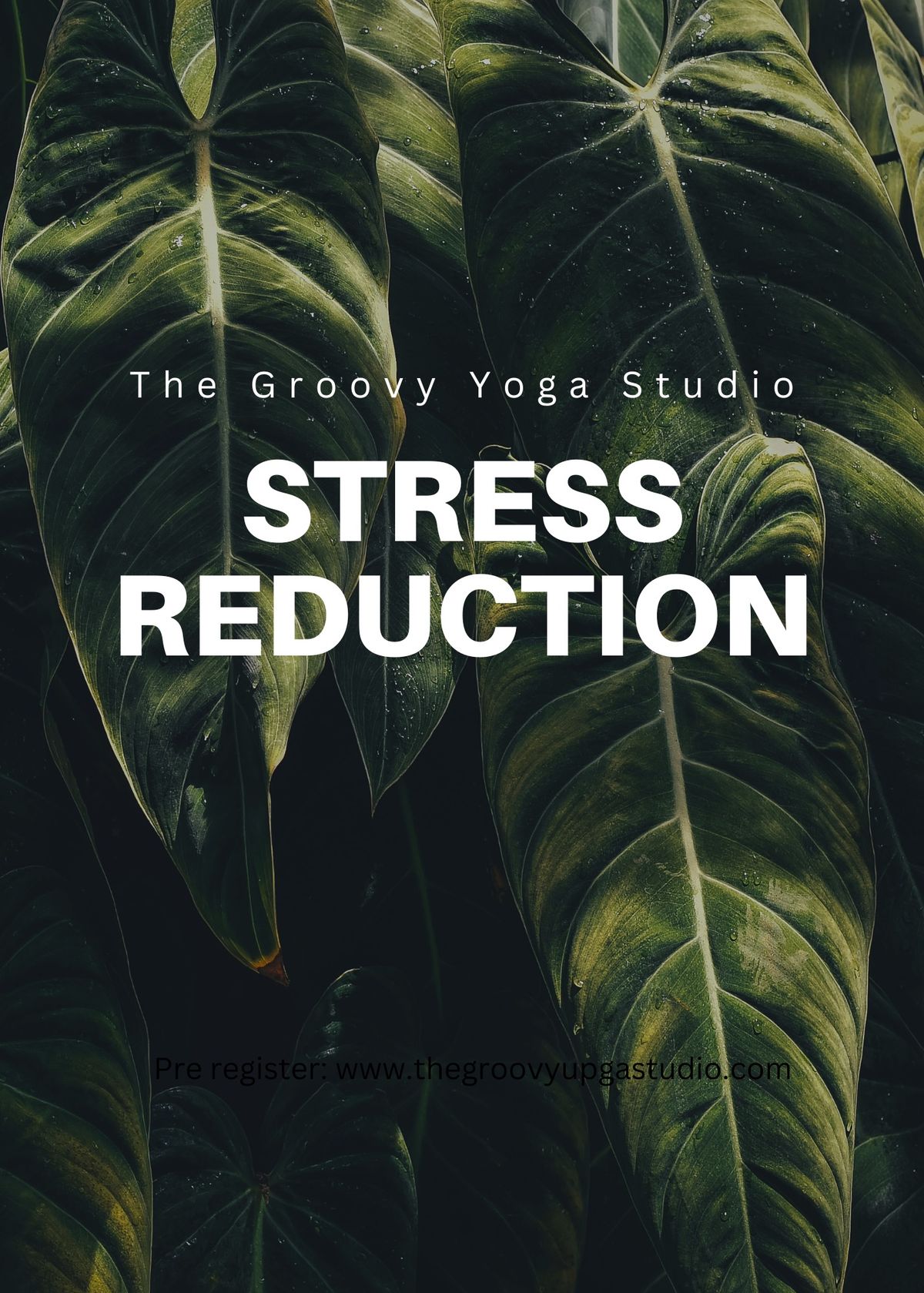 Stress Reduction 