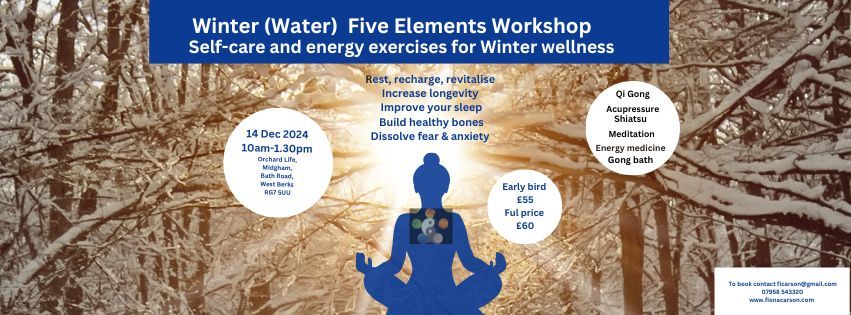 Winter (Water) Five Elements Workshop - learn self-care and energy exercise for winter wellness