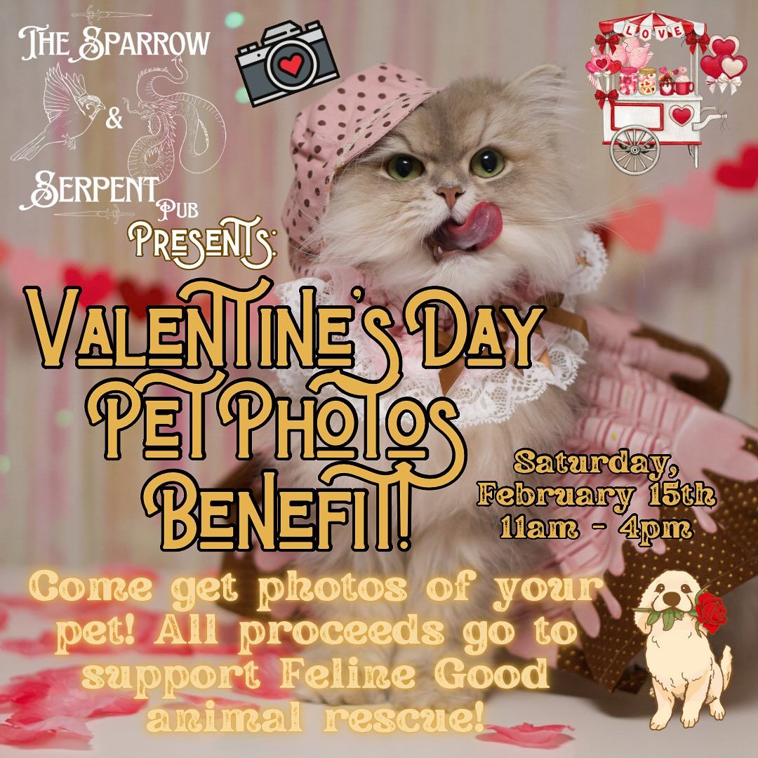 Valentine\u2019s Day Pet Photos