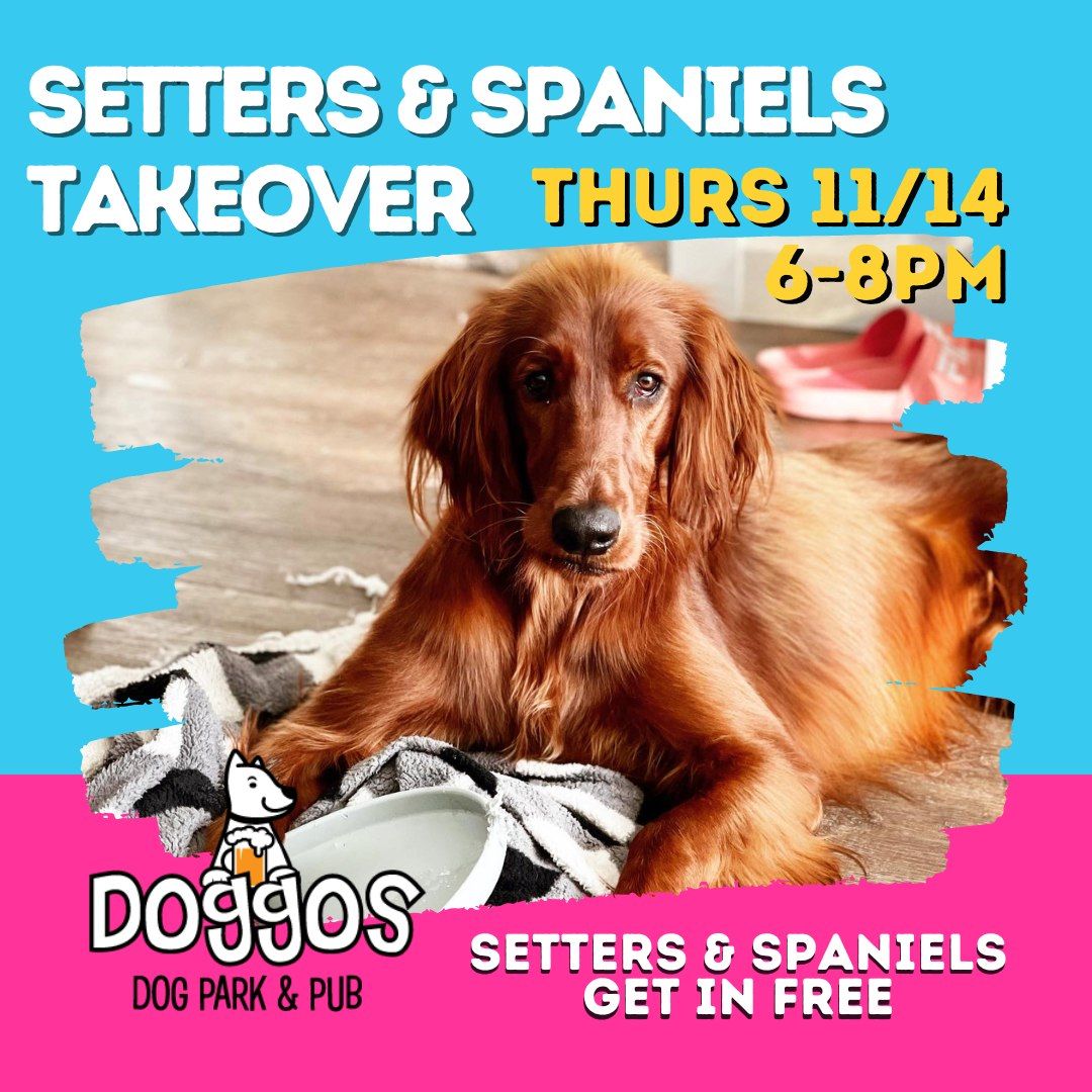 Setters and Spaniels Takeover