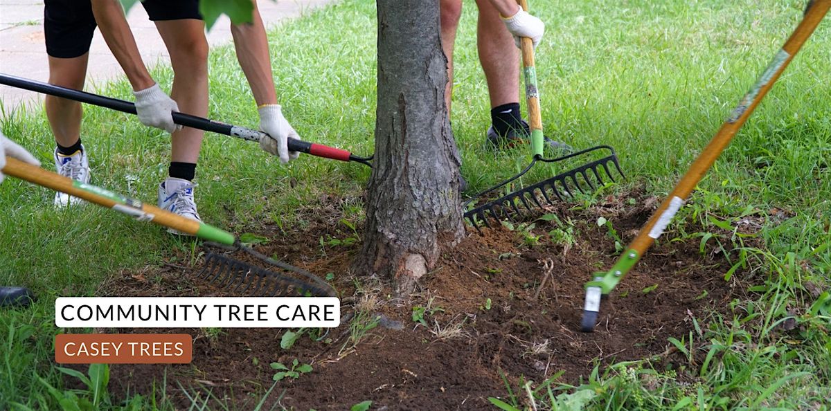 Community Tree Care: Brentwood Reservoir