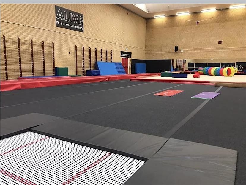 CHILD Gym "larger" (over age 11 size) **MEMBERS OF WNAG ONLY**