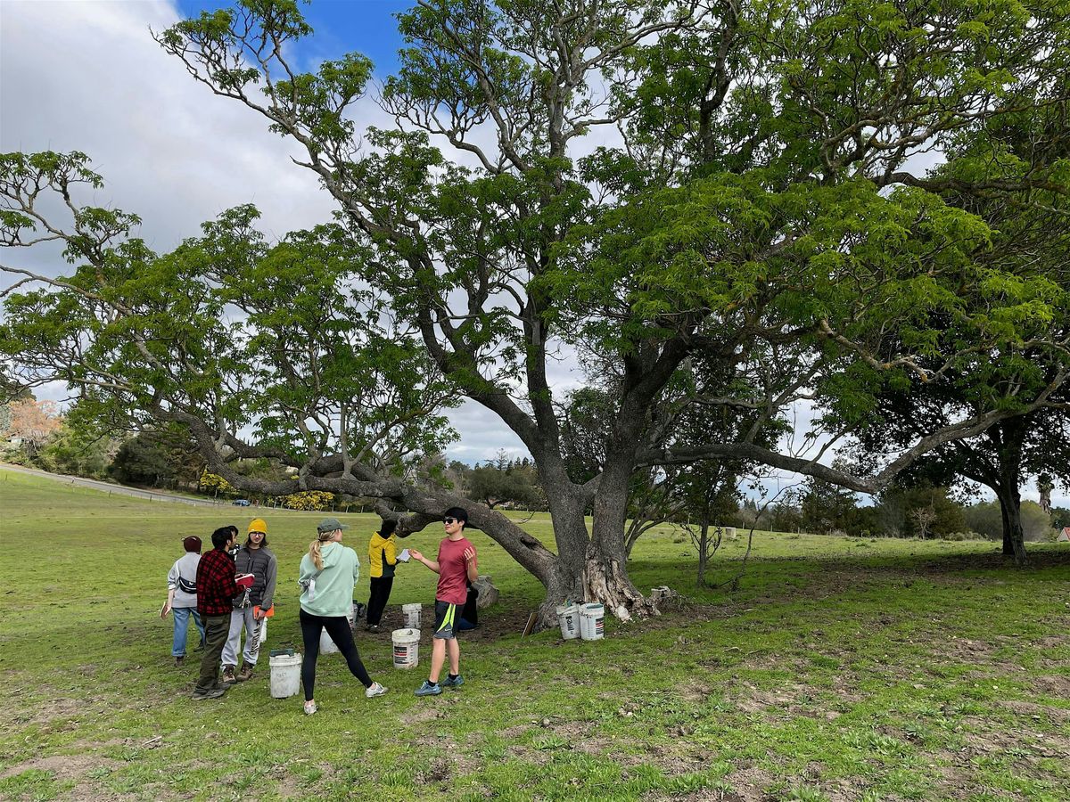 Restore and Explore!  College Student Workday Series at Byrne Preserve